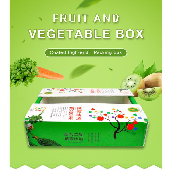 Fruit Corrugated Plastic Packaging Broccoli PP Corrugated Sheet Box